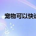 宠物可以快递吗多少钱（宠物可以快递吗）