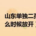 山东单独二孩政策放开时间（山东单独二胎什么时候放开）