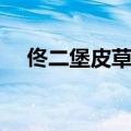 佟二堡皮草价格图片（佟二堡皮草价格）