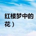 红楼梦中的《葬花吟》（葬花词红楼隐史蝶恋花）