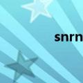 snrna是什么名称（snrna）