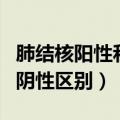 肺结核阳性和阴性有什么区别（肺结核阳性和阴性区别）