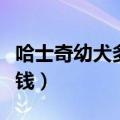 哈士奇幼犬多少钱一只纯种（哈士奇幼犬多少钱）
