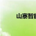 山寨智能机能用吗（山寨智能机）