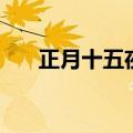 正月十五夜灯的诗意（正月十五夜灯）
