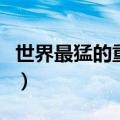 世界最猛的重机枪怎么画（世界最猛的重机枪）