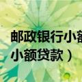 邮政银行小额贷款已受理什么意思（邮政银行小额贷款）