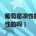 葡萄是凉性的吗?吃多了会胃疼吗?（葡萄是凉性的吗）