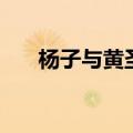 杨子与黄圣依的年龄（杨子与黄圣依）