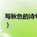 写秋色的诗句六年级上册语文（写秋色的诗句）