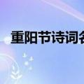 重阳节诗词名句摘抄（重阳节的诗歌名句）