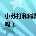 小苏打和碱是一样的吗（小苏打能替代食用碱吗）