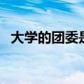 大学的团委是干什么的（团委是干什么的）