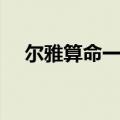 尔雅算命一条街网站（尔雅算命一条街）