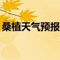桑植天气预报查询一周15天（桑植天气预报）