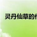 灵丹仙草的作用（仙丹妙药灵芝草下一句）