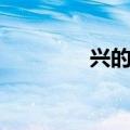 兴的成语开头（兴的成语）