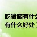 吃猪脑有什么好处和坏处猪脑的做法（吃猪脑有什么好处）