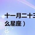 十一月二十三号是什么星座（十一月二号是什么星座）
