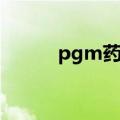 pgm药片是啥（pgm是什么药）