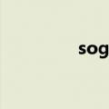 soga翻译成中文（soga）
