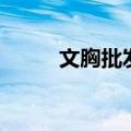 文胸批发价一般多少（文胸批发）
