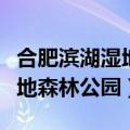 合肥滨湖湿地森林公园游玩攻略（合肥滨湖湿地森林公园）