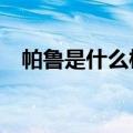 帕鲁是什么梗的意思（waduhek什么梗）