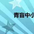 青盲中小猫为什么是假的（青盲2）