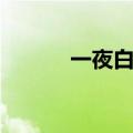 一夜白头历史人物（一夜白头）