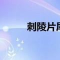 刺陵片尾曲在线听（刺陵片尾曲）