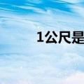 1公尺是多少公分（1公尺是多长）