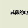 戚薇的电视剧大全（戚薇的电视剧）