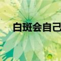 白斑会自己消失吗（牙齿上有白斑图片）