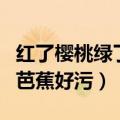 红了樱桃绿了芭蕉的红的用法（红了樱桃绿了芭蕉好污）