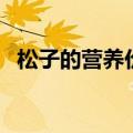 松子的营养价值和禁忌（松子的营养价值）