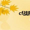 cf战队加成（cf加战队视频）