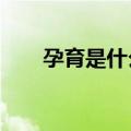孕育是什么意思?（孕育是什么意思）