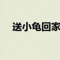 送小龟回家作者（送小龟回家阅读答案）