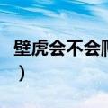 壁虎会不会爬到床上去（壁虎会不会爬到床上）