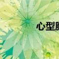 心型脸是瓜子脸吗（心型脸）