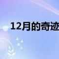 12月的奇迹歌词分配（12月的奇迹歌词）