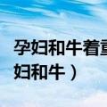 孕妇和牛着重传达的是对生命的什么情绪（孕妇和牛）