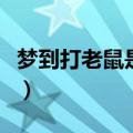 梦到打老鼠是什么意思周公解梦（梦到打老鼠）