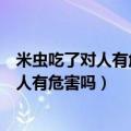 米虫吃了对人有危害吗生米虫的大米还能吃吗（米虫吃了对人有危害吗）