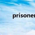 prisoner's dilemma（prisoner）