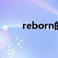 reborn的意思（reborn什么意思）