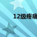 12级疼痛列表（十二级疼痛等级表）