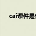 cai课件是什么意思（课件是什么意思）