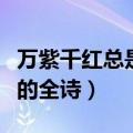 万紫千红总是春的全诗隶书（万紫千红总是春的全诗）